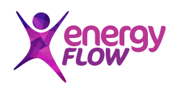 EnergyFlow